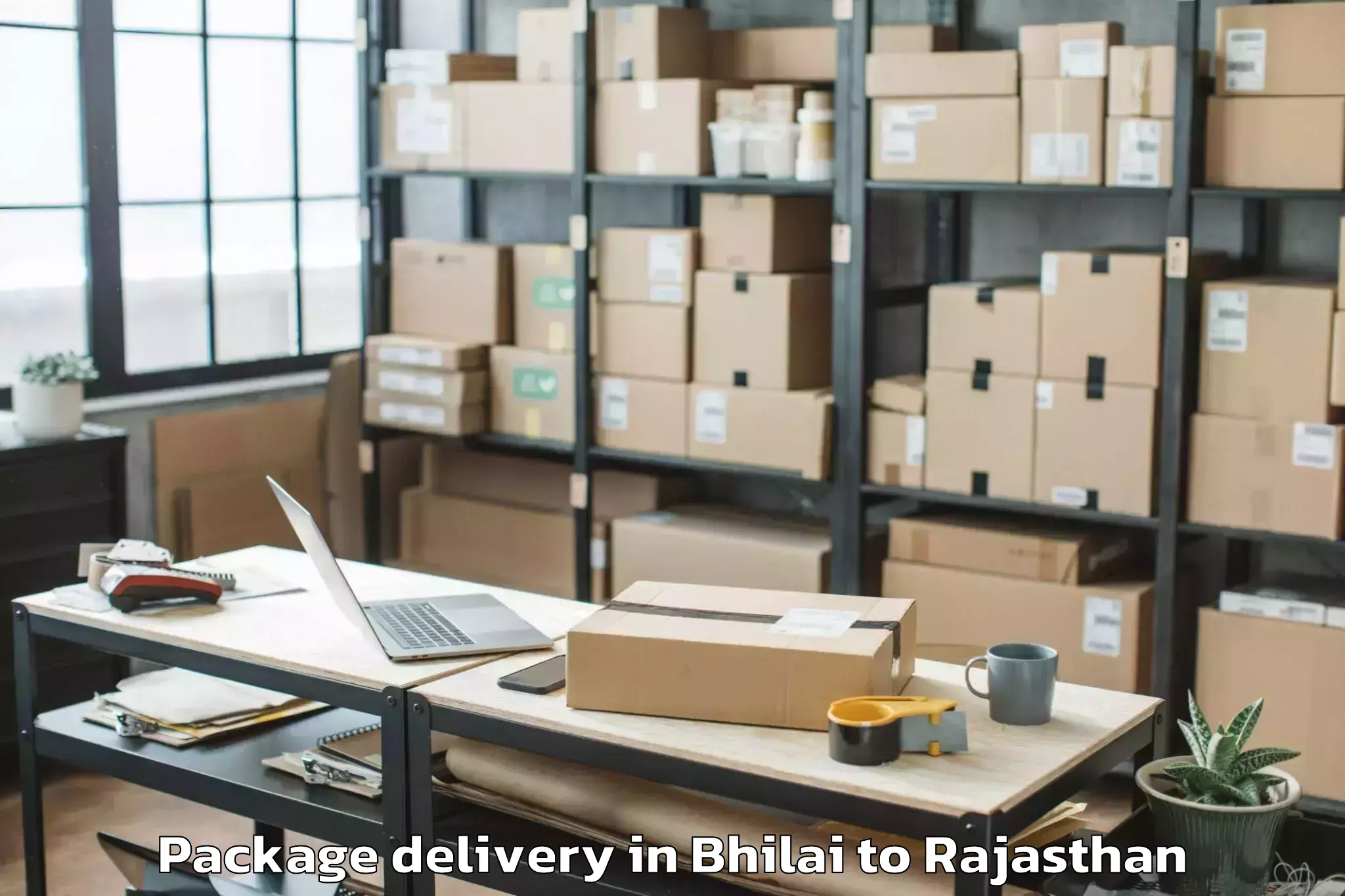 Hassle-Free Bhilai to Bikaner Airport Bkb Package Delivery